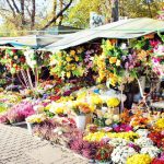 Wszystkich Świętych